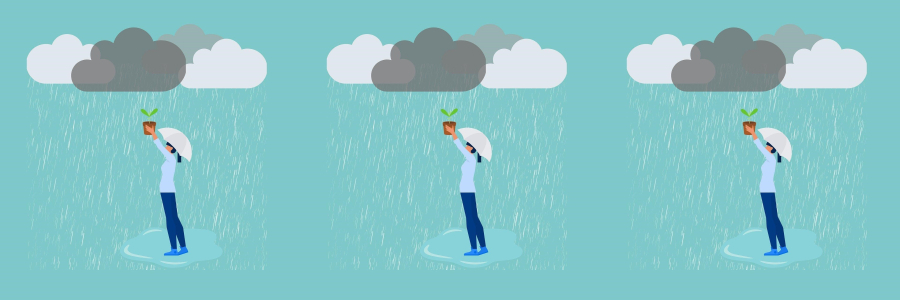 regenschirm